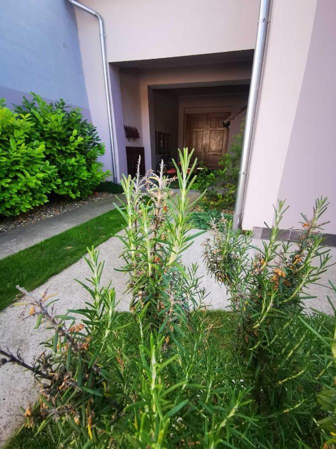 Sombor 19 Central Apartment Экстерьер фото